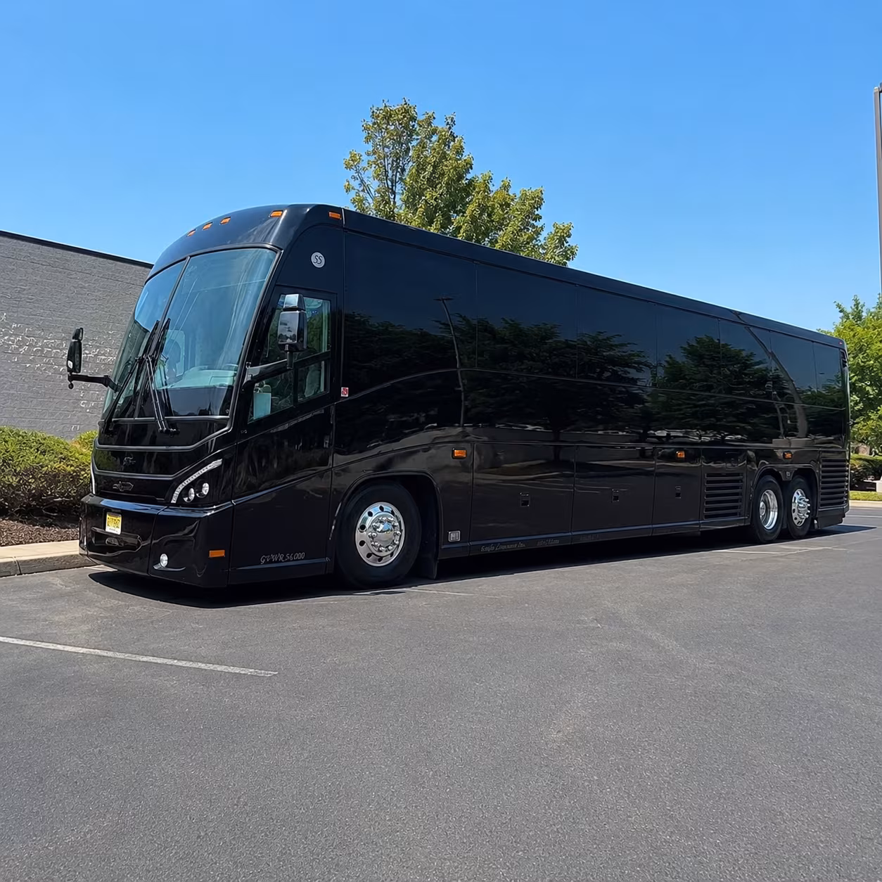 new braunfels charter bus