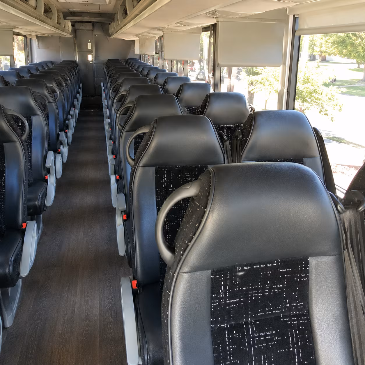 new braunfels concert transportation
