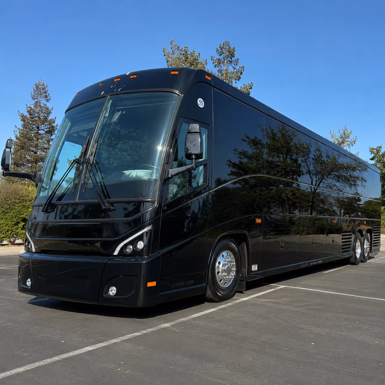 new braunfels family reunion charter bus rental