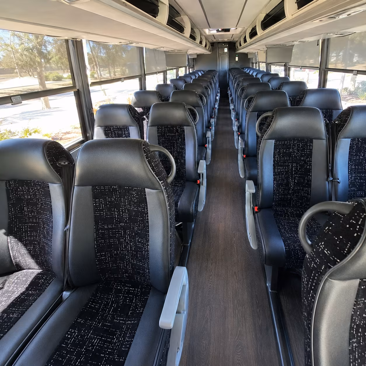 new braunfels minibus rentals
