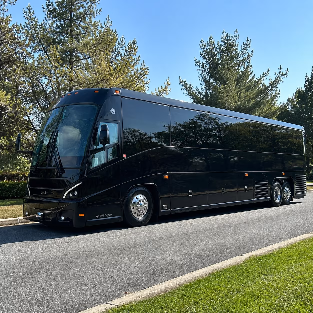 new braunfels wedding transportation